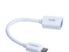 PISEN USB 3.0 Type C OTG Cable, 150mm