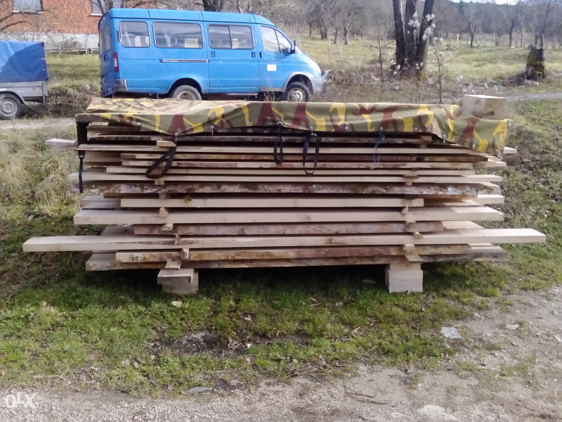 Sumski rezani javor