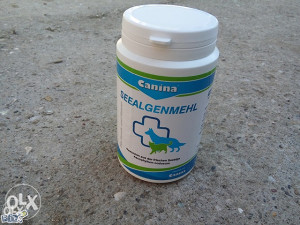Vitamini za pse morske alge NOVO