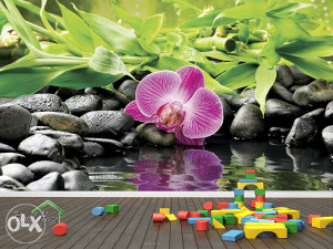 Foto Tapete 3D