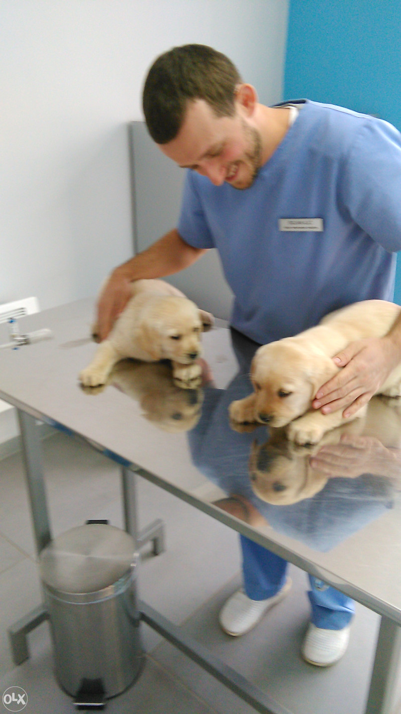 Veterinarska ambulanta