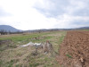 Zemljište 5000 m2 u Doglodima