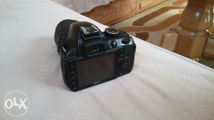 Nikon d3100
