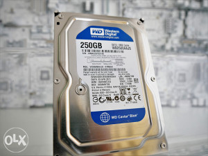 Western Digital WD Caviar Blue 250GB [3Gb/s]