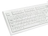 Tastatura MS ALPHA USB žičana CRNA ili BIJELA MSI