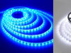 LED TRAKA BIJELA CRVENA PLAVA 5 METARA + ADAPTER AKCIJA